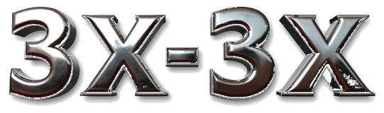 3x 3x logo